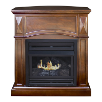 Preview: pleasant hearth VFF-PH20D