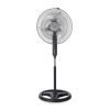 Fan Logo