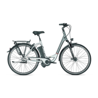 Preview: Derby Cycle Werke GmbH 2011