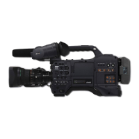 Preview: Panasonic AG-HPX301E