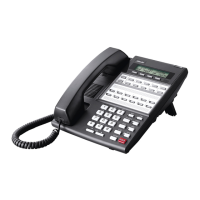 Preview: NEC DS2000