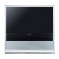 Preview: Samsung SP47Q5HL1X/XAX