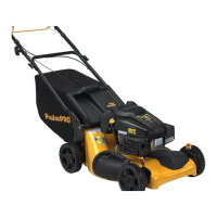 Preview: Poulan Pro PR173Y22RP