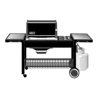 Preview: Weber Genesis Platinum-B