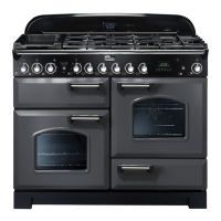 Preview: Professional 110 Dual Fuel