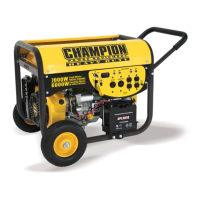 Preview: Champion 41311