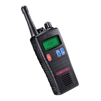 Preview: Entel HT952