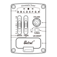 Preview: Belcat UK-300T