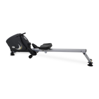 Preview: LifeSpan RW1000