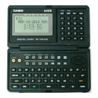 Preview: Casio SF-5300B