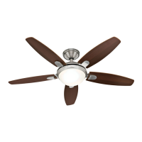 Preview: Hunter Contempo 59013