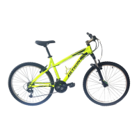 Preview: b'Twin Bicycle