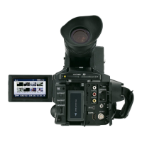 Preview: Panasonic AVCCAM AG-AF101E