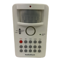 Preview: Radio Shack Passive