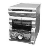 Preview: Sony HCD-GRX8