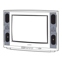 Preview: Sanyo CM21KX81