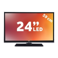 Preview: VESTEL PERFORMANCE 24VF3021