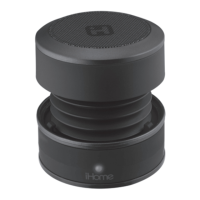 Preview: iHome iBT60