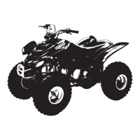 Preview: Yamaha YFM80WP