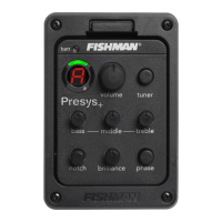 Preview: Fishman PRESYS PLUS