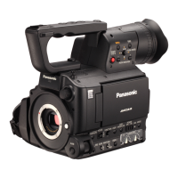 Preview: Panasonic AG-AF100P