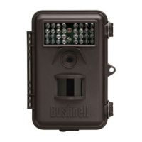 Preview: Bushnell 119435