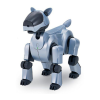 Robotics Logo