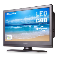 Preview: Salora 19LED8005TD