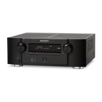 Preview: Marantz SR3053