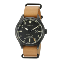 Preview: Timex DYNABEAT 254