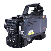 Preview: Sony HDC1000