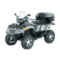 Preview: Arctic Cat 450 TRV
