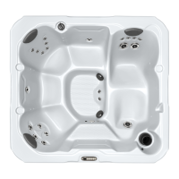 Preview: Dimension One Spas Spa