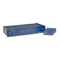 Preview: IndigoVision 10-Channel Rack