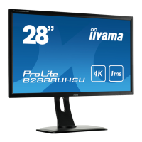 Preview: Iiyama ProLite B2888UHSU