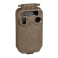 Preview: Cuddeback Seen