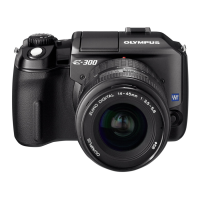 Preview: Olympus E-300
