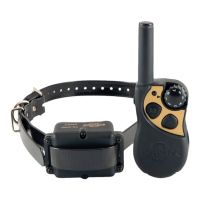 Preview: Yard & Park Remote Trainer