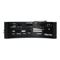 Preview: Fishman ELLIPSE AURA