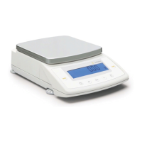 Preview: Sartorius CPA2P