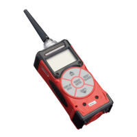 Preview: RKI Instruments GX-2003