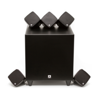 Preview: Accent Acoustics Hide & Seek