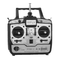 Preview: Wfly FT06