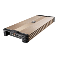 Preview: SPL Dynamics ICE-800D