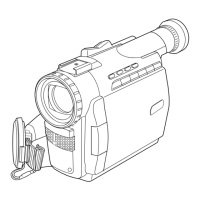 Preview: Digital Palmcorder PalmSight PV-DV100-K