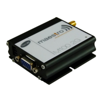 Preview: Maestro M100 2G