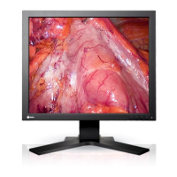 Preview: Eizo SCD 19102