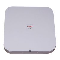 Preview: Avaya DECT R4