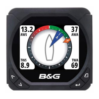 Preview: B&G Triton Display