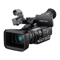 Preview: Sony PMW-160